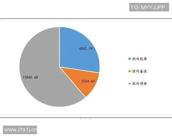 海外投资意甲球队现状与政策环境解读